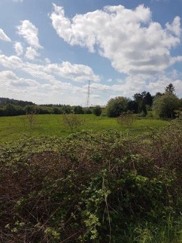 Ardennen,5570 Winenne-Beauraing: Bouwgrond 10a55ca, knap vrij uitzicht! - 4