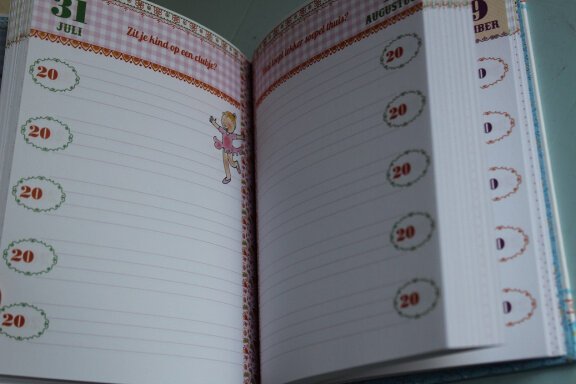 Mijn vijf jaren Mama dagboek - Pauline Oud - Afbeelding 6