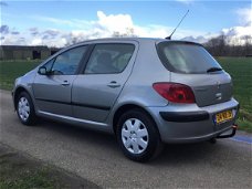 Peugeot 307 - 1.6-16V XS Pack met airco/clima en trekhaak