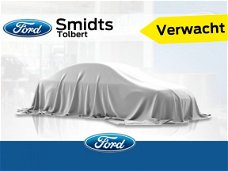 Ford Fiesta - 1.0 125PK EcoBoost Sport Cruise | Clima | 17" LMV | Grote achterspoiler | Dealeronderh