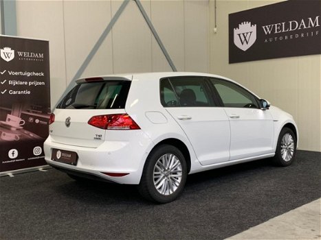 Volkswagen Golf - 1.2 TSI CUP Edition Rijklaar - 1