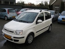 Fiat Panda - 1.2 69pk Edizione Cool