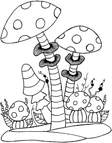 Stempel Lindsay Mason Mushrooms