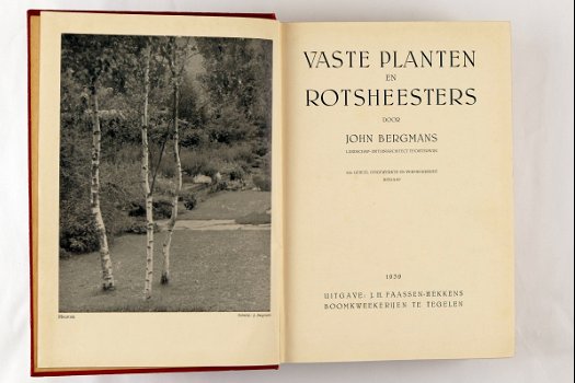 Vaste planten en rotsheesters (4 foto's) - 0