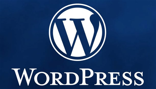 Vanaf €250,00 ex btw goedkoop een WordPress webwinkel laten maken - 0