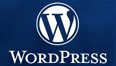Vanaf €250,00 ex btw goedkoop een WordPress webwinkel laten maken