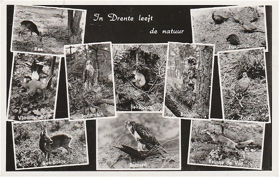In Drente leeft de natuur 1964 - 0