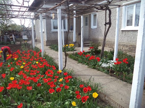 Een mooi landhuis op 22 km van de kust (Bulgarien) - 6