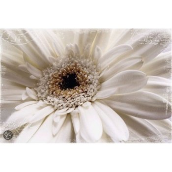 Deco Panel - White Flower bij Stichting Superwens! - 0