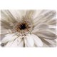 Deco Panel - White Flower bij Stichting Superwens! - 0 - Thumbnail