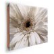 Deco Panel - White Flower bij Stichting Superwens! - 1 - Thumbnail