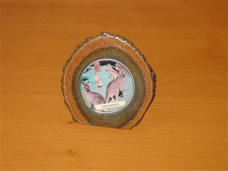 Souvenir Australia Kangaroos Genuine Australian Mulga - 0