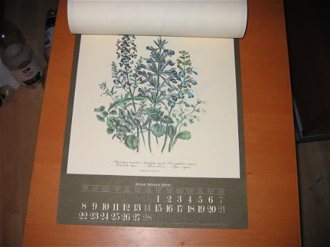Vintage Kalender Flora Antiqua 1982 Technical Service - 1