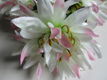 CHRYSANT - KUNST BOEKET - (2) - 2 - Thumbnail