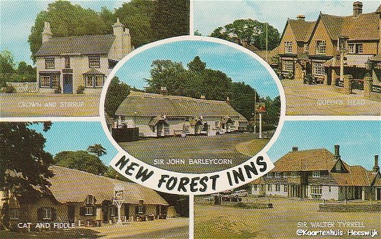 Engeland New forest inns - 0
