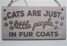 TEKST BORDJE - CATS ARE JUST....