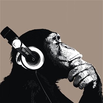 Deco Block - The Chimp - Stereo bij Stichting Superwens! - 0