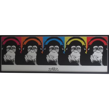 Art Frame - Steez - Monkee bij Stichting Superwens! - 0