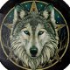 GROTE DROMEN VANGER - WOLF - FOREST SPIRIT - 1 - Thumbnail