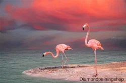 FULL diamond painting flamingo L