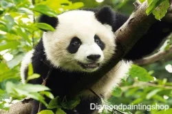 FULL diamond painting panda L