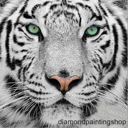 FULL diamond painting tiger XL