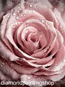 FULL diamond painting rose XL