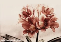 FULL diamond painting retro flowers XL
