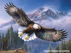 FULL diamond painting eagle XL