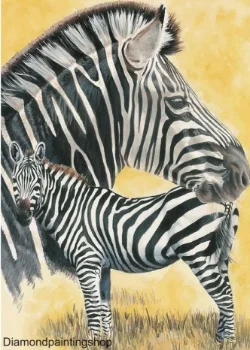 FULL diamond painting zebra XL