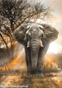 FULL diamond painting natural elephant 1 XL GERESERVEERD