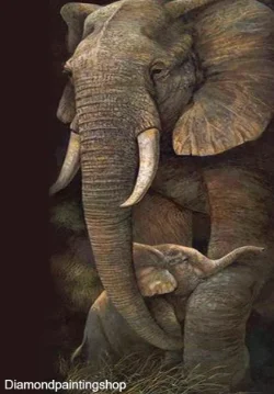 FULL diamond painting natural elephant 2 XL