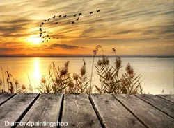 FULL diamond painting nature sun XXL GERESERVEERD