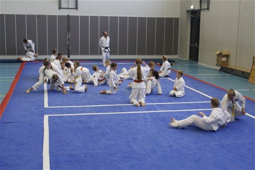 Karate-judo mat - 0