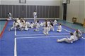 Karate-judo mat - 0 - Thumbnail