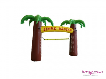 Tropical party decors - 2