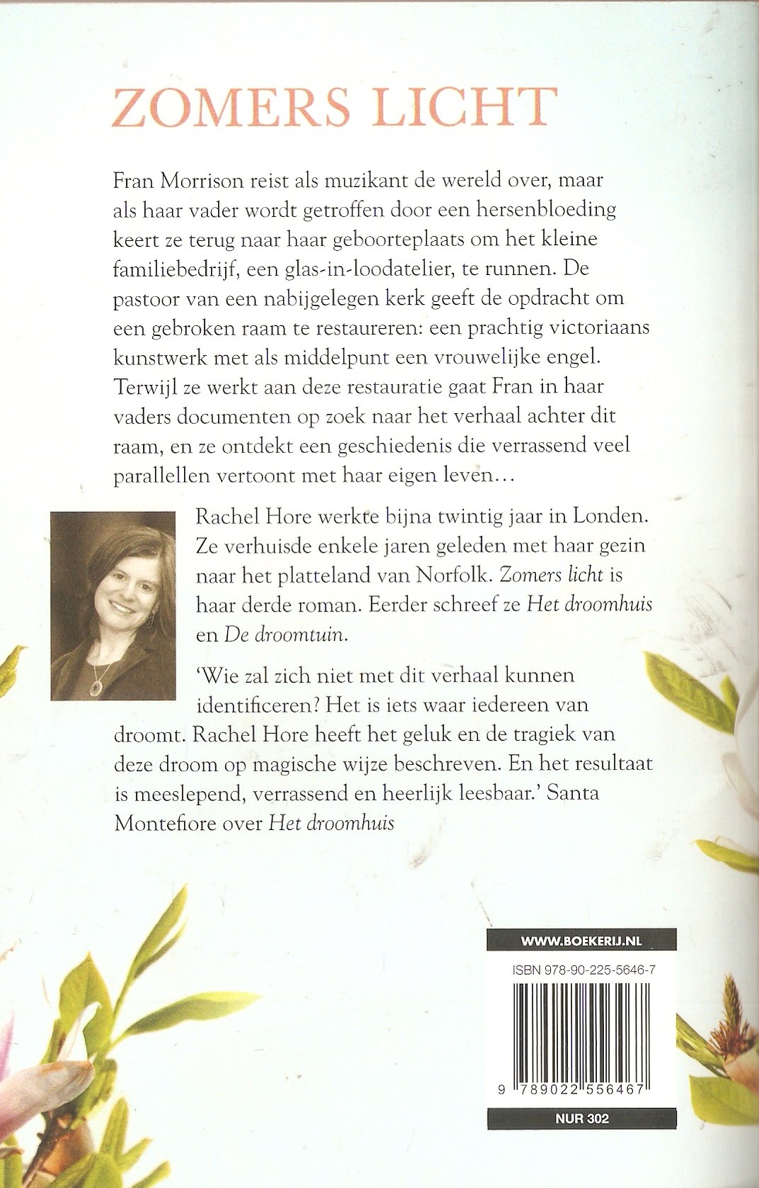 Rachel Hore met Zomers licht - Afbeelding 2