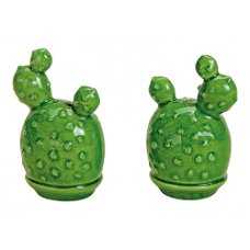 PEPER & ZOUT SET - CACTUS - VAN 9,95 VOOR 5 EURO