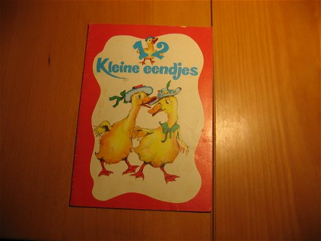 12 Kleine Eendjes kinderboek Kinder Boek Voorleesboek - 0