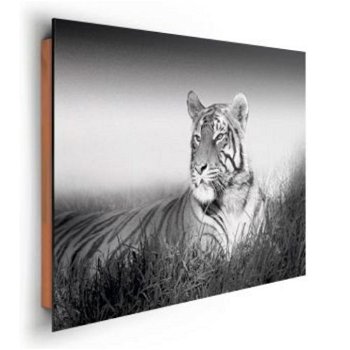 Deco panel - Kings of Nature - Tiger bij Stichting Superwens! - 1