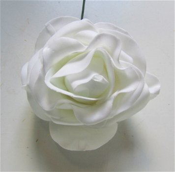 PRACHTIGE WITTE ROZEN - 1