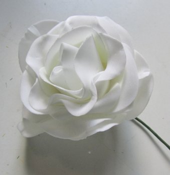 PRACHTIGE WITTE ROZEN - 2