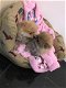 Schattige Pomeranian-puppy beschikbaar - 0 - Thumbnail