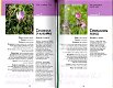 Guide de la flore du Parc du Vercors - 3 - Thumbnail
