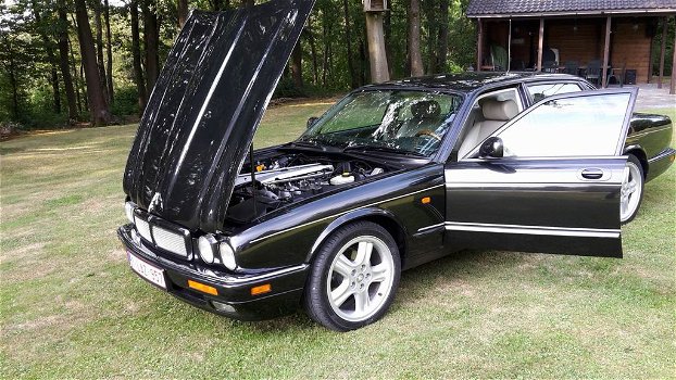 pracht sport jaguar in prima staat - 0