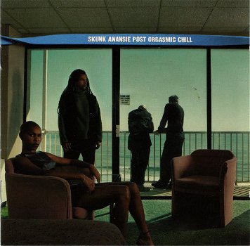 Skunk Anansie – Post Orgasmic Chill (CD) - 0