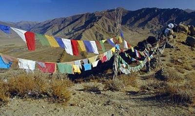 Tibetaanse gebedsvlaggetjes medium, slinger van 10 vlaggetjes - 1