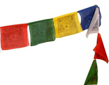 Tibetaanse gebedsvlaggetjes medium, slinger van 10 vlaggetjes - 2