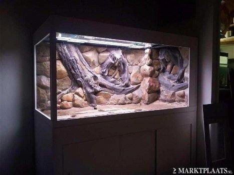 Amazone 3D aquarium-terrarium achterwand 200x60 - 0
