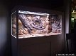 Amazone 3D aquarium-terrarium achterwand 200x60 - 0 - Thumbnail